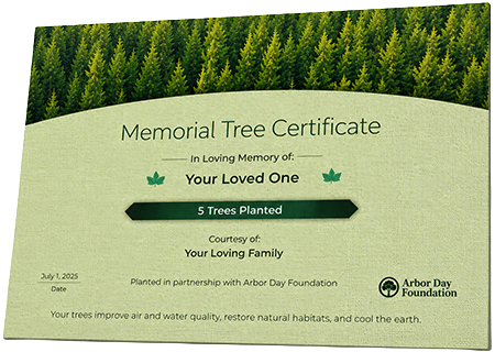 Plant Trees in Memory of Ms. Audrey Cordelea Crockett